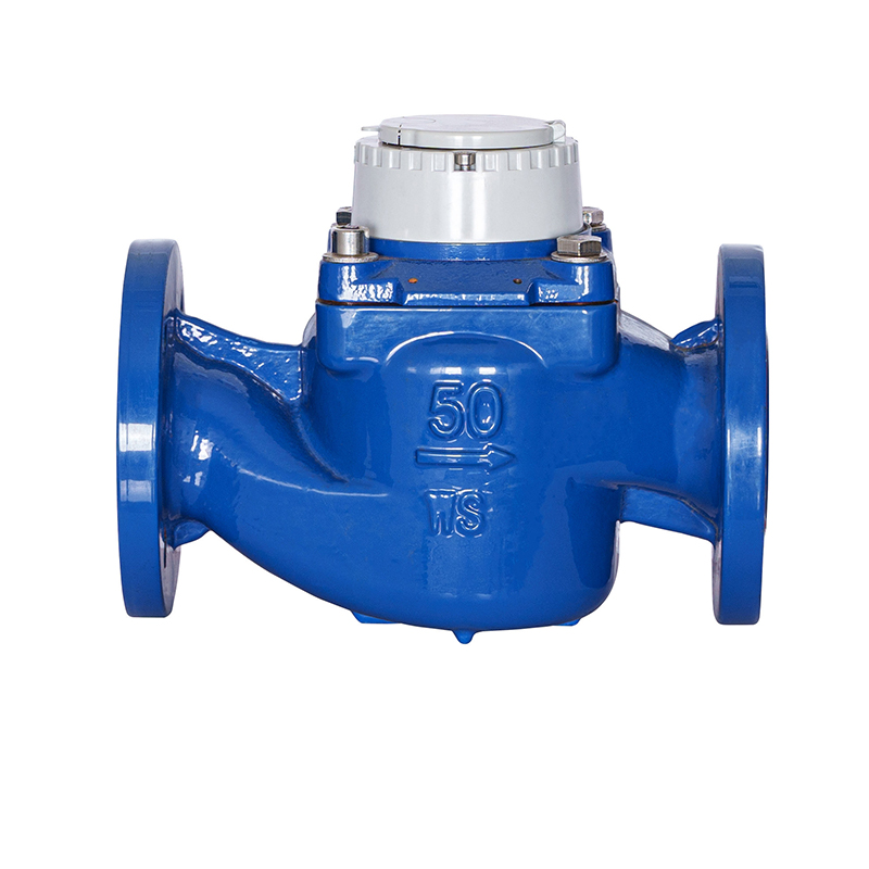WS-DN40-DN200 Hochpräziser abnehmbarer vertikaler Spiralflügel-Wasserzähler