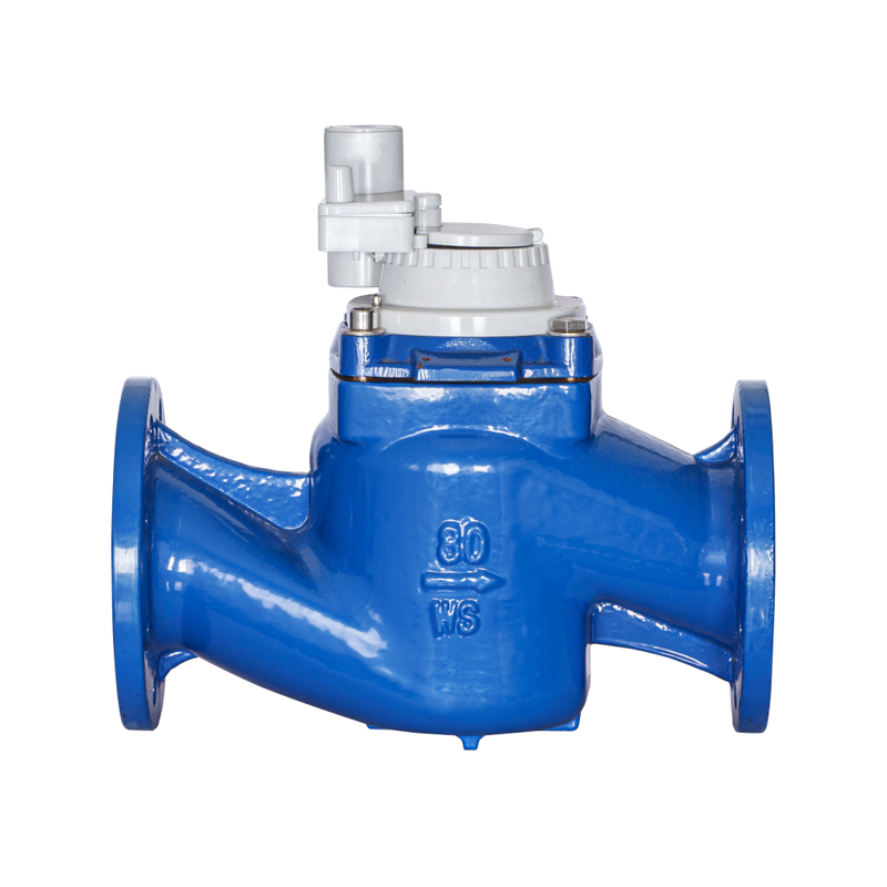 WS-DN40-DN200 Hochpräziser, vertikaler Schraubenflügel, abnehmbarer, nicht magnetischer, integrierter Wasserzähler