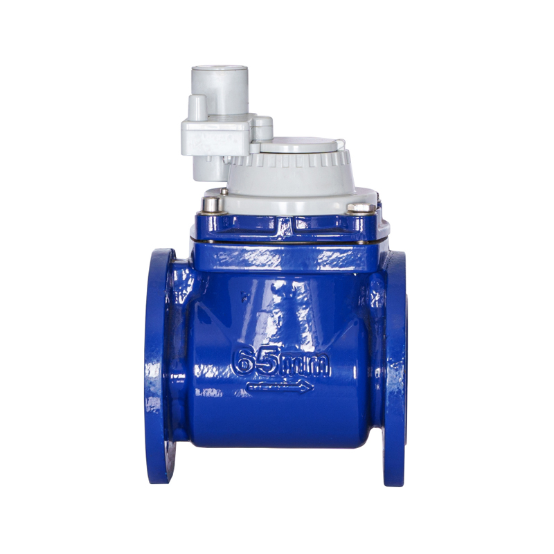 WPH DN50-DN200 Horizontaler, abnehmbarer, nicht magnetischer, integrierter Wasserzähler mit Schraubenflügel