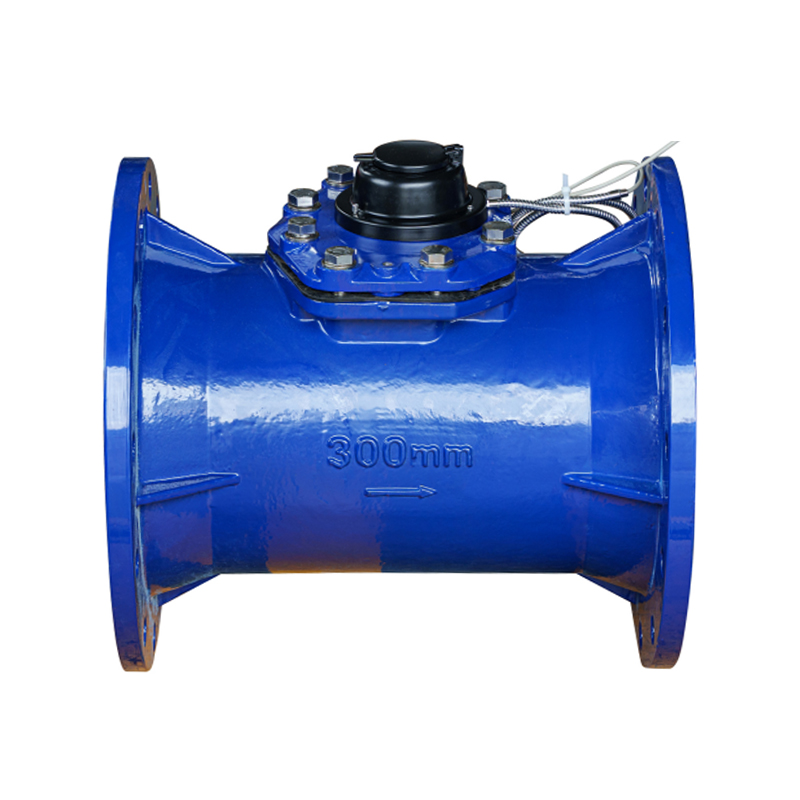 LXLC-DN50-DN500 Horizontaler abnehmbarer Wasserzähler